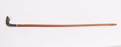 CANNE-EPEE 