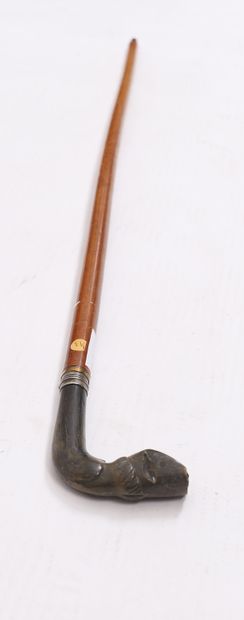 CANNE-EPEE 