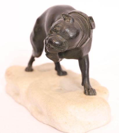 ARSON
PETIT SUJET ANIMALIER 
