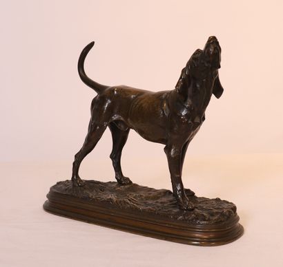 Alfred DUBUCAND

JOLI BRONZE ANIMALIER 