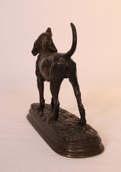 Alfred DUBUCAND

JOLI BRONZE ANIMALIER 