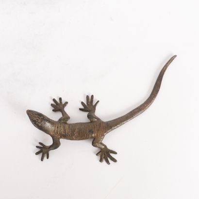 LÉZARD
