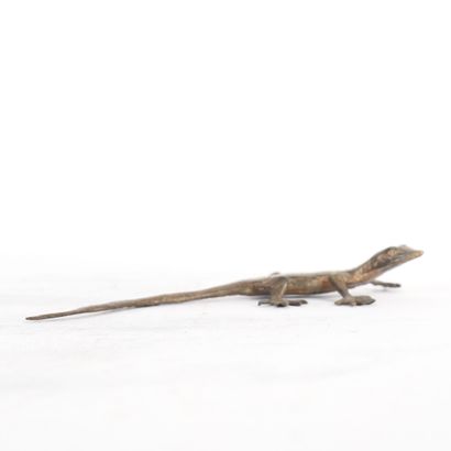 LÉZARD