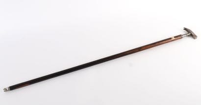 TRADE CANE, XIXth - XXth CENTURY
Natural...