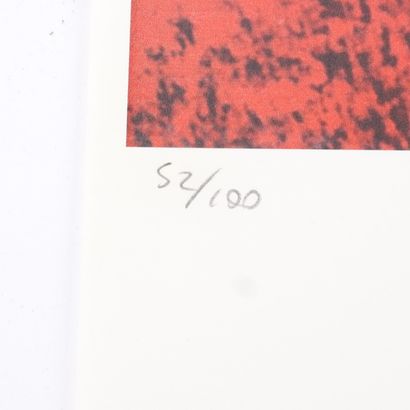 FROM A LITHOGRAPH 
