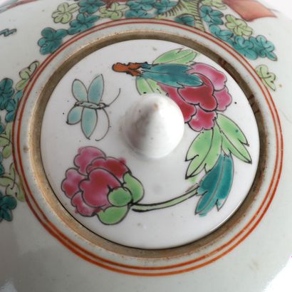 GINGER POT IN THE 