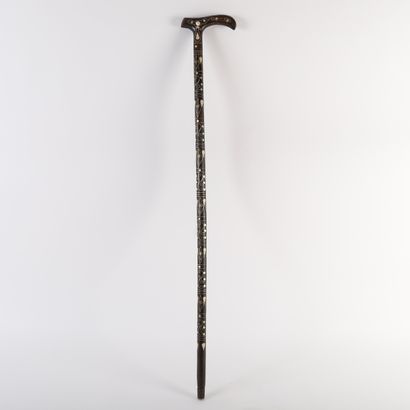 pretty decorative cane, late 19th - early...