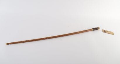 CANE, SECOND HALF 20th CENTURY ERA
Coconut...