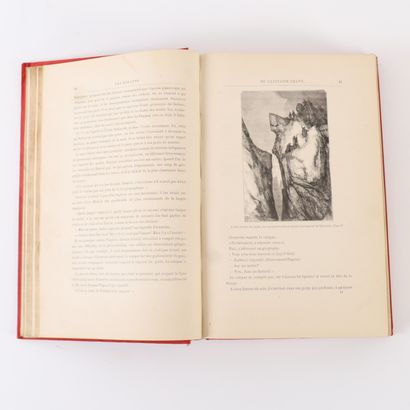 LIVRE JULES VERNE 
