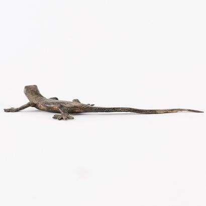 LÉZARD