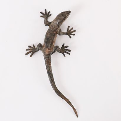 LÉZARD