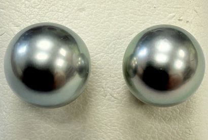 PAIR OF PLATINUM EARRINGS SET WITH GRAY PEARLS
Pair...