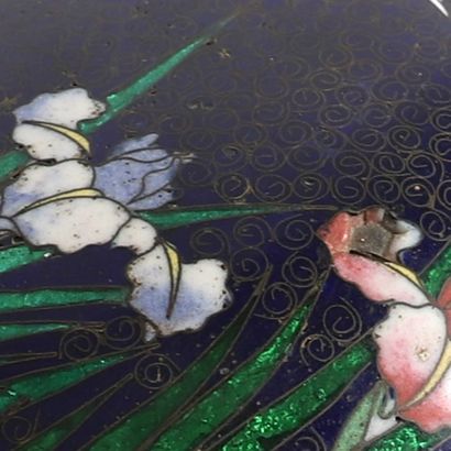 CLOISSONED ENAMEL BONBONNIERE, late 19th...
