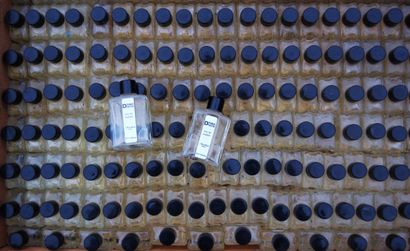 SET OF 1000 EAUX DE TOILETTE REVILLON 