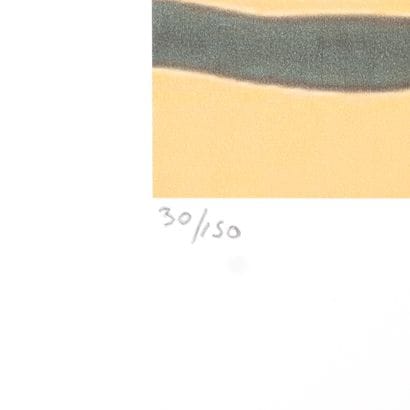 FROM A LITHOGRAPH 
