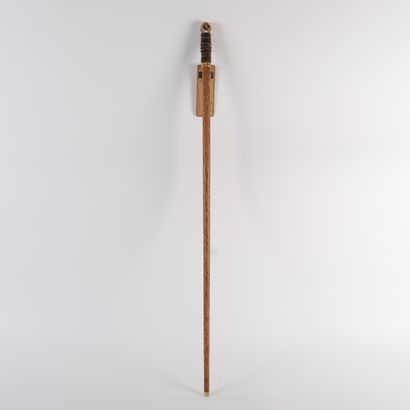 CANE, SECOND HALF 20th CENTURY ERA
Coconut...