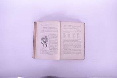 LE MAOUT Emmanuel
Botanique. Organographie...