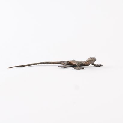 LÉZARD