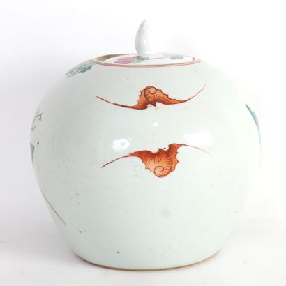 GINGER POT IN THE 