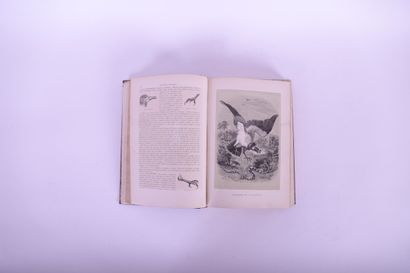 LE MAOUT Emmanuel
Histoire naturelle des...