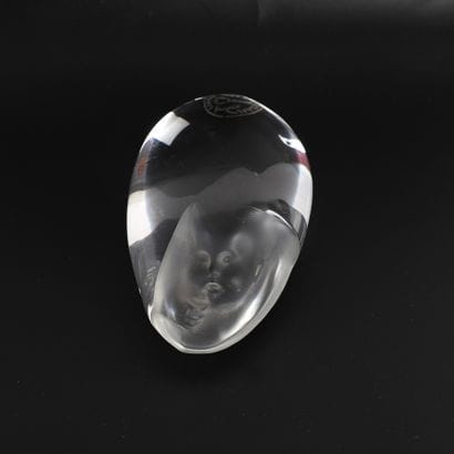 SET OF TWO PAPERWEIGHTS, BACCARAT
Crystal...