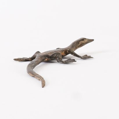 LÉZARD