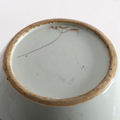 GINGER POT IN THE 