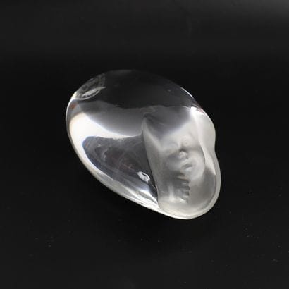 SET OF TWO PAPERWEIGHTS, BACCARAT
Crystal...