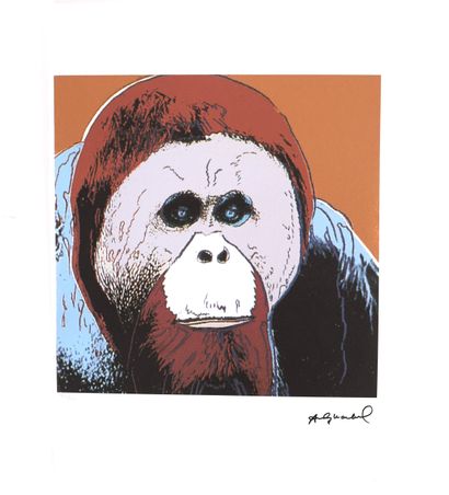 ORANG-OUTAN
