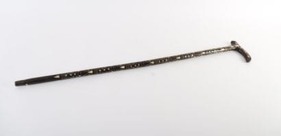 pretty decorative cane, late 19th - early...