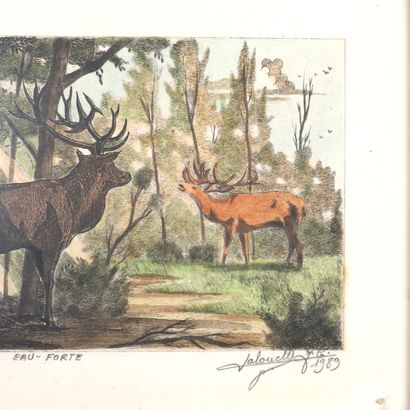 CERF QUI BRAME