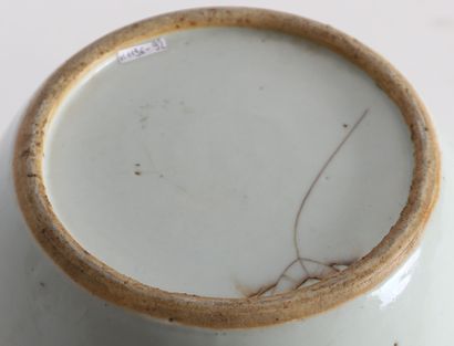 GINGER POT IN THE 