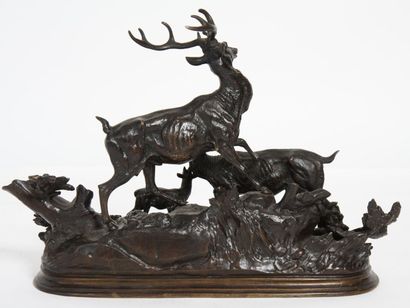 FAMILLE DE CERVIDES

Bronze à patine brune...