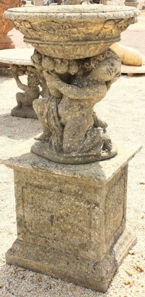 VASQUE SUR PIED FIGURANT UN 
