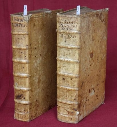 HISTORIA GENERALIS PLANTORUM XVIII LIBRUM.

Lugduni...