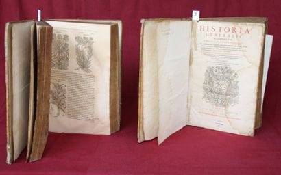 HISTORIA GENERALIS PLANTORUM XVIII LIBRUM.

Lugduni...