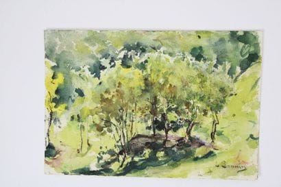 Luis BONNIN MARTIN (1873-1964)
L'allée d'arbres,...