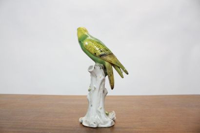 CAPODIMONTE.
Meeting of a parrot in polychrome...