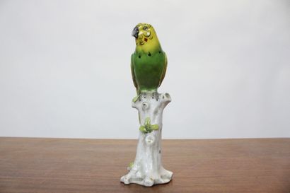CAPODIMONTE.
Meeting of a parrot in polychrome...