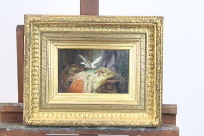 Colombe nourrissant ses petits, huile sur...