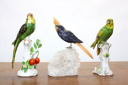 CAPODIMONTE.
Meeting of a parrot in polychrome...