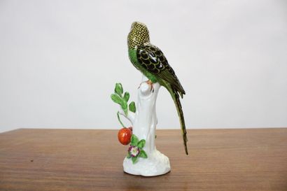 CAPODIMONTE.
Meeting of a parrot in polychrome...