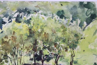Luis BONNIN MARTIN (1873-1964)
L'allée d'arbres,...