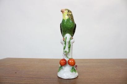 CAPODIMONTE.
Meeting of a parrot in polychrome...