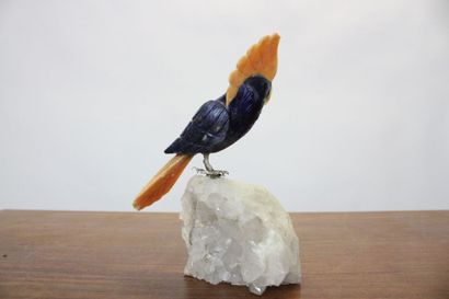 CAPODIMONTE.
Meeting of a parrot in polychrome...