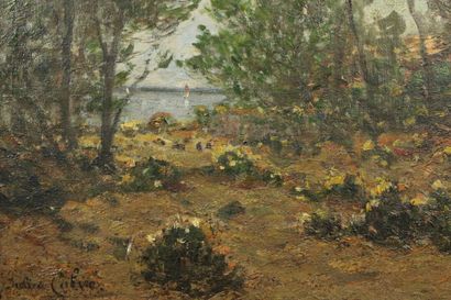 Julien CALVÉ (?-1924)
Dans la foret d'Arcachon,...