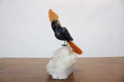 CAPODIMONTE.
Meeting of a parrot in polychrome...