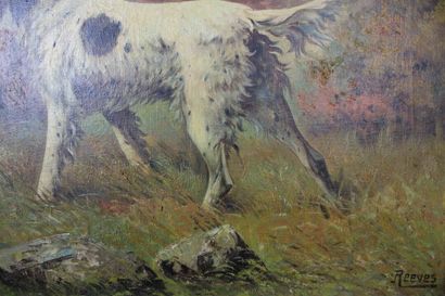 Walter REEVES (1882-1900).
Deux épagneuls...