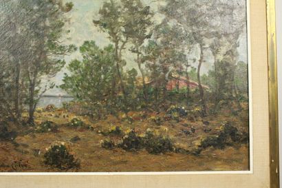 Julien CALVÉ (?-1924)
Dans la foret d'Arcachon,...