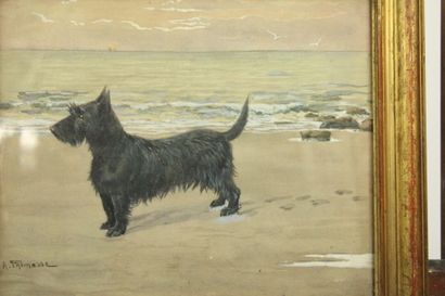 Adolphe Thomasse (1850-1930)
Le chien sur...